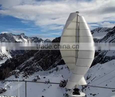 Axial flux permanent magnet generator(AFPMG700-3.0kW/100rpm)