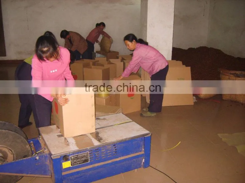 china supplier of spices