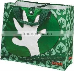 PP Woven Shopping bags