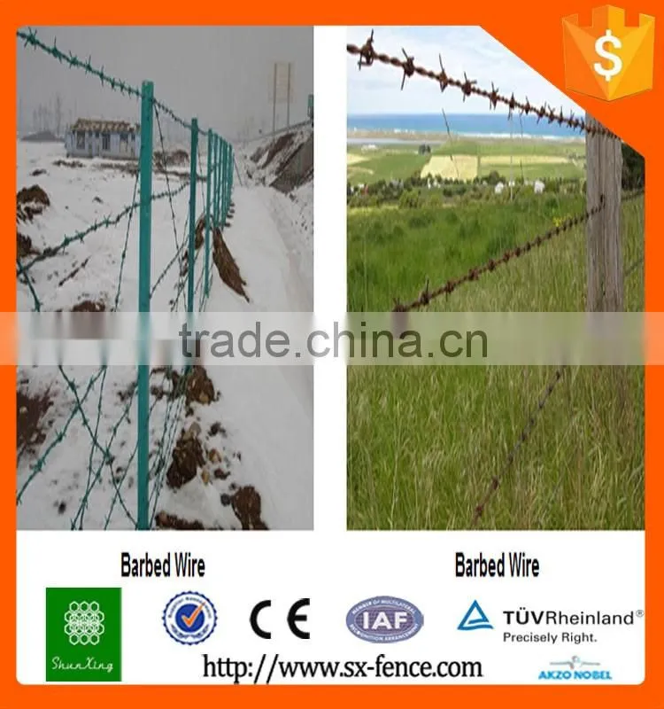 Alibaba galvanized barbed wire/barbed wire font/barbed wire for sale