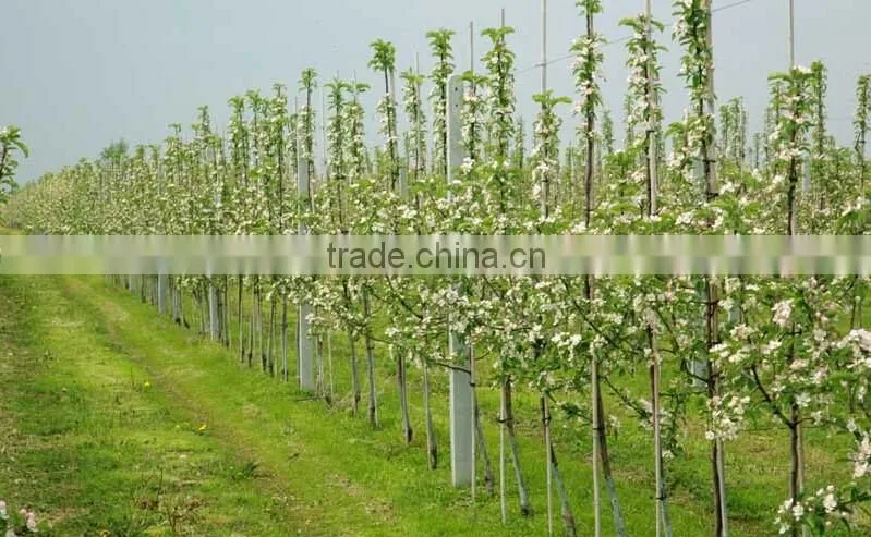 Fiberglass Rod, Fiberglass stick FRP Rod,Solid Fiberglass Rod for garden use for plants