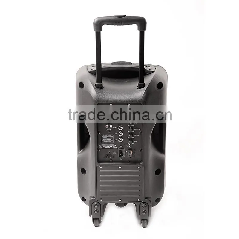 Professional PA active trolley rechargeable speaker with bluetooth FM