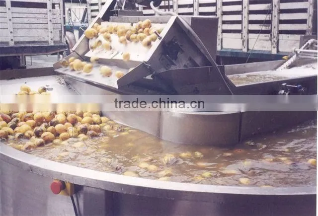 Complete Mango Fruit Processing Line
