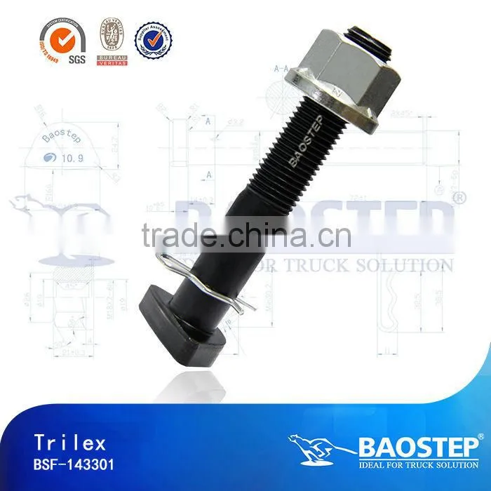 Baostep Excellent Quality Cold Forged Forged T Bolt