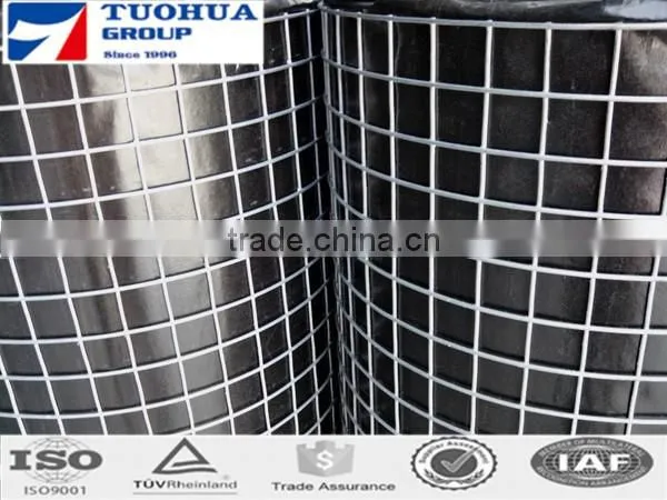 1/4 Inch/ 1 Inch Galvanized Welded Wire Mesh low Price