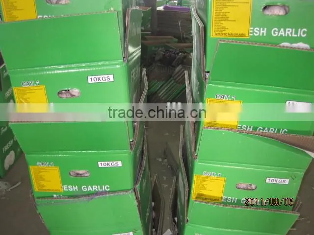 China natural fresh garlic price from Cold Storage