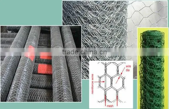 chicken netting (Factoryof Guangzhou)