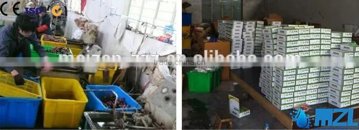 Newest Best water dispenser parts type plastic water dispenser tap