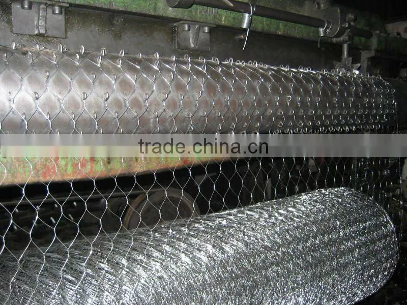 pvc coated hexagonal wire netting/gavanized hexagonal wire netting/chicken fence