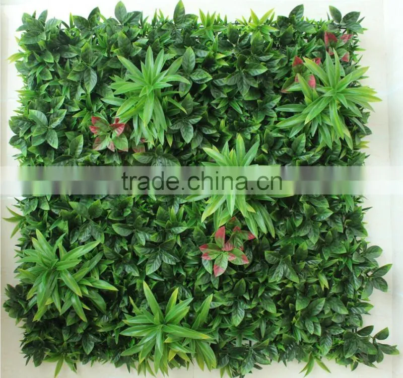 Factory price wall hanging plants