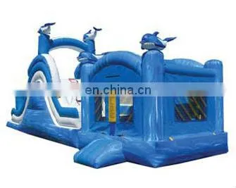 Funny inflatable combo