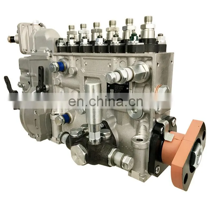 612600087217 Injection Pump for WD615 Engine Using