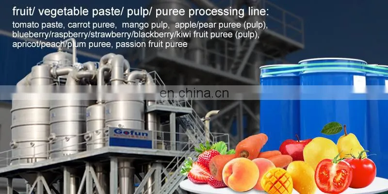 Multifunctional fruit vegetable tomato paste production line filling machine