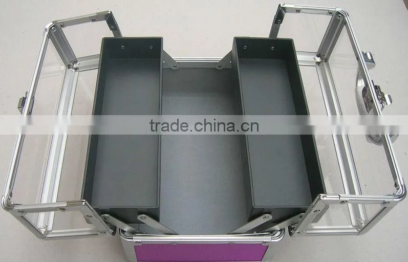 direct marketing acrylic watch display case