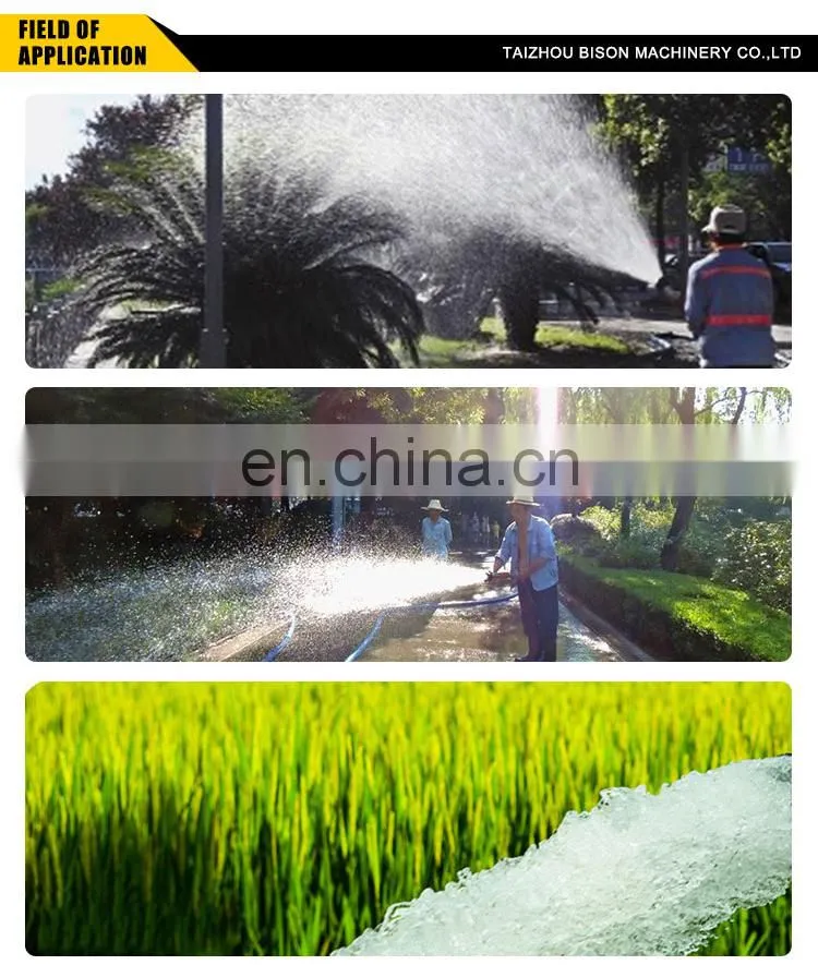 BISON CHINA 7.5 HP 4inch Gasoline Water Pump For Irrigation WP40 Water Pumping Machine