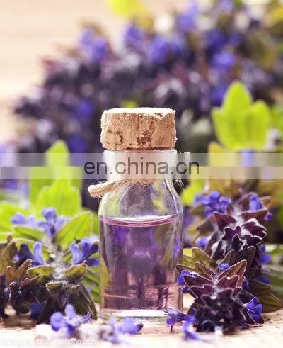 10-30L violet essential oil essential oil distillation equipment