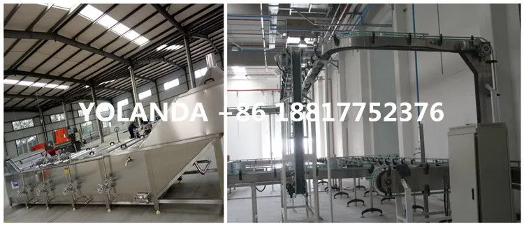 Complete Canned Fish Production Line / Tuna in Oil Production Line