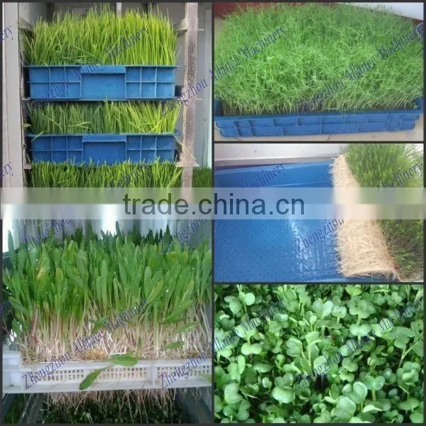 Hot sales Automatic equipments for shoots /peas /radish /alfalfa sprouts cultivate