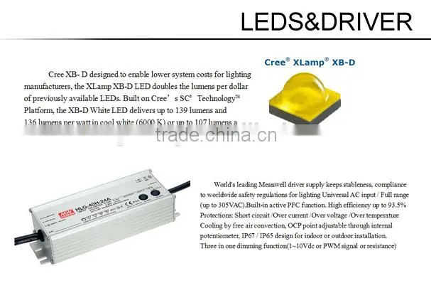 30W IP65 high quality Waterproof CREE Meanwell 5 years warranty Led flood Lights