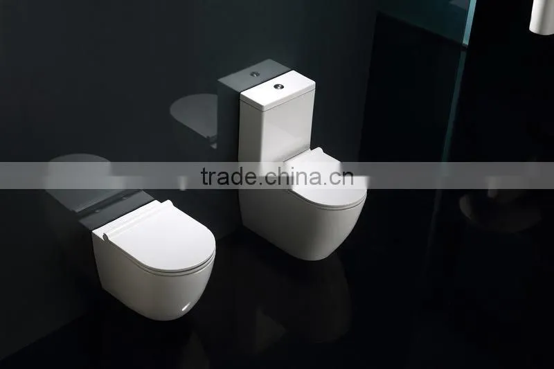 Separate washdown water closet WA385