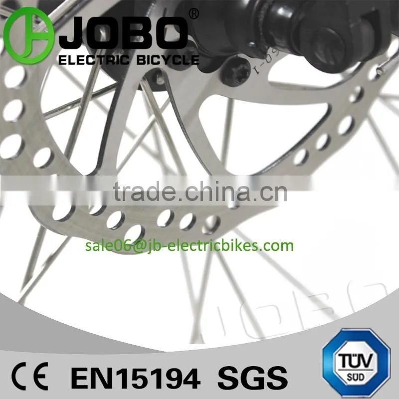 CE TUV Approved 36V 250 Watt Brushless Electric Bike Folding Design