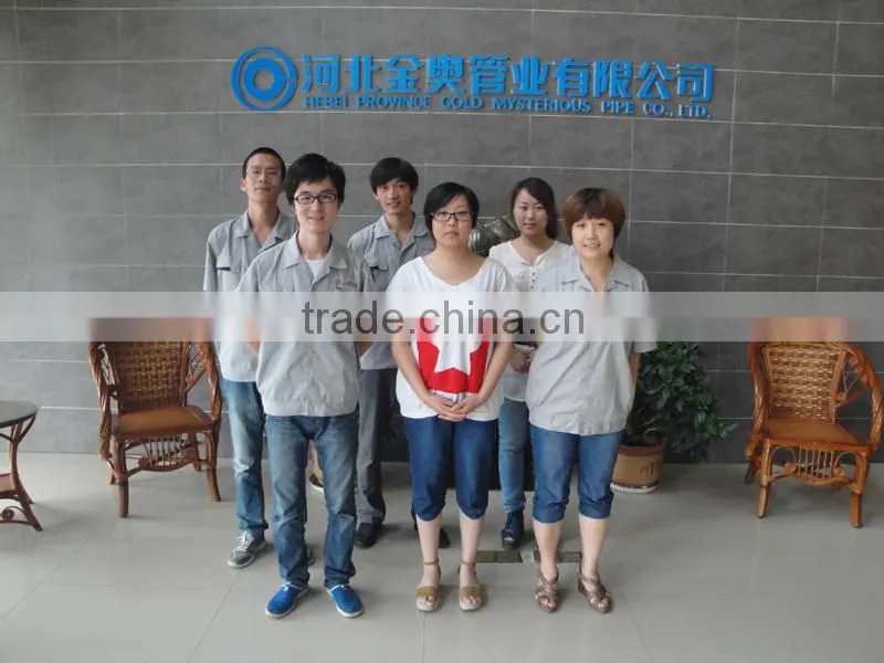 High Precision Seamless Steel Pipes/Tube
