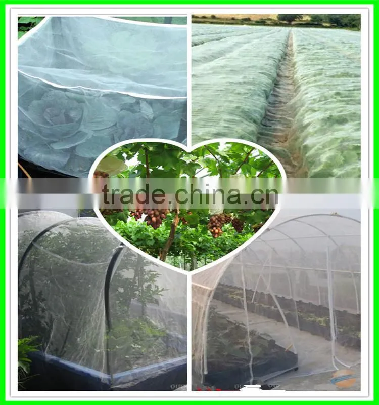100% HDPE Anti Insect Netting