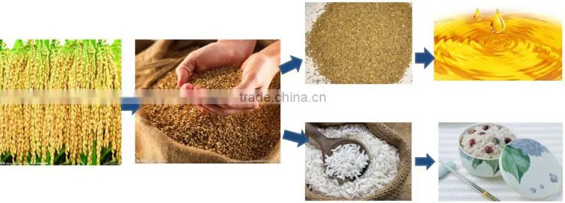 rice bran oil making machine price