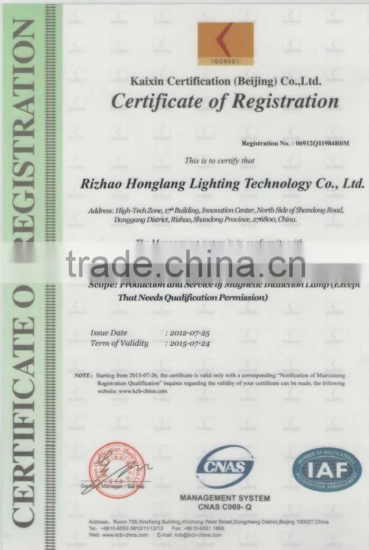 ball bulb induction lamp for high bay light