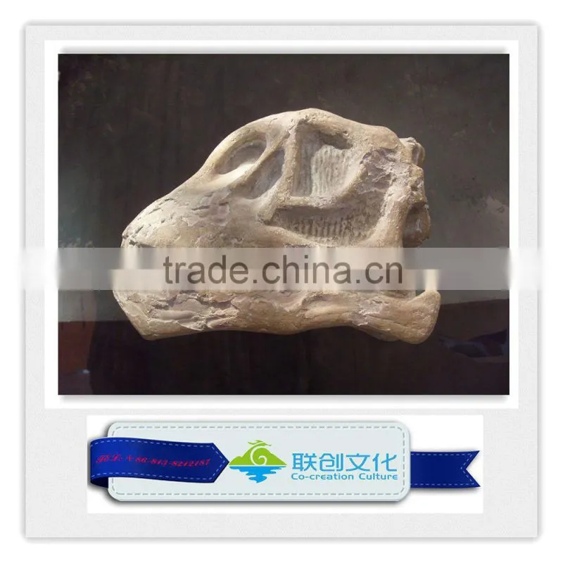 Historic site archeology archaeology monument dinosaur fossils