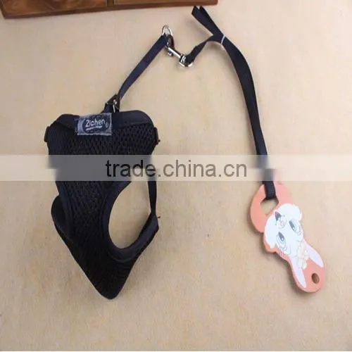 Ware Nylon Walk-N-Vest Small Pet Harness and Leash, Large