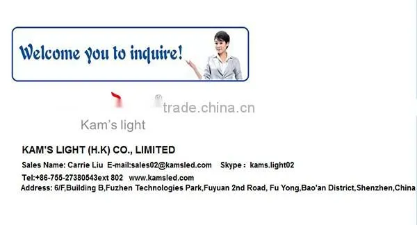 Dimmable 30w35W 40w cob track light led