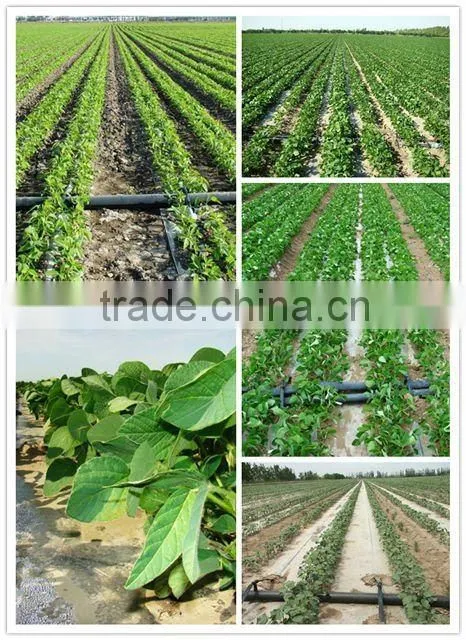 ZQSJ-65/30 Labyrinth type drip irrigation tape equipment