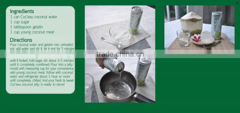 Thailad Coconut juice/Coconut drink/Coconut water 310 ml