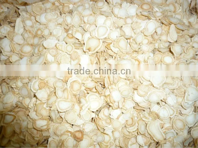 Panax Ginseng