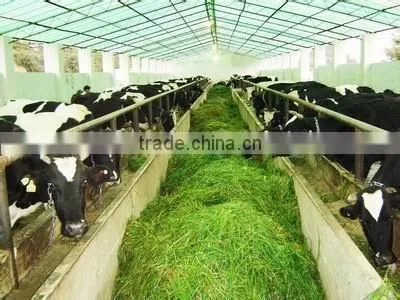Cattle Feeding Wheat Straw Crusher Corn Straw Crushing Machine Chaff Cutter