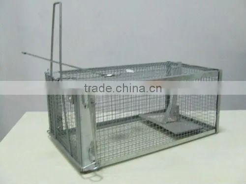 Live mouse trap