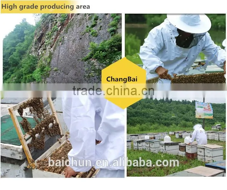 bulk royal jelly powder