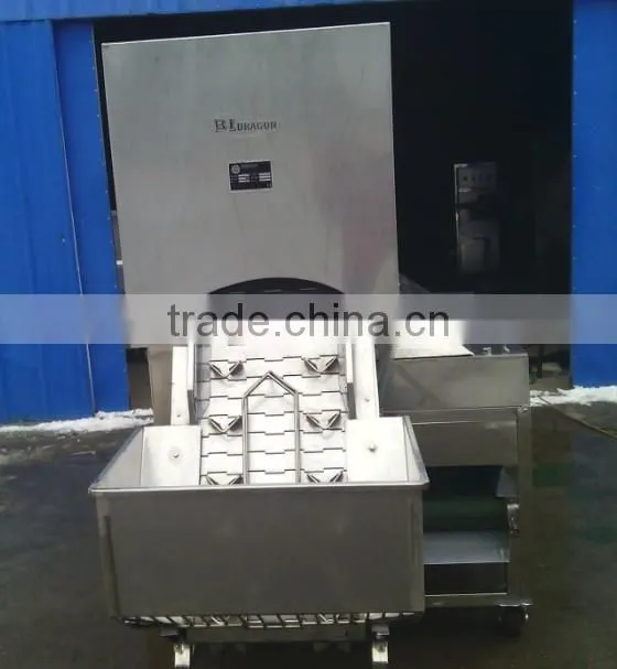 Peel Onion-by Completely Automatic Onion Peeler
