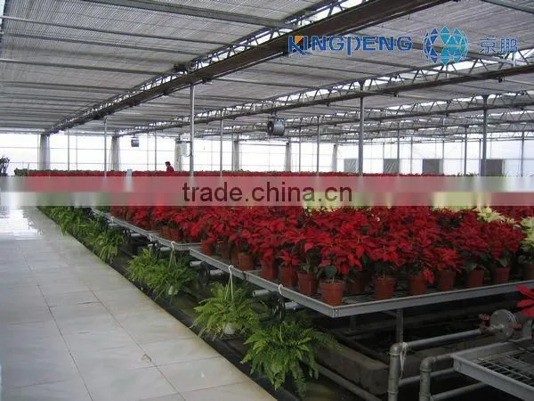 Venlo polycarbonate sheet greenhouse for sale