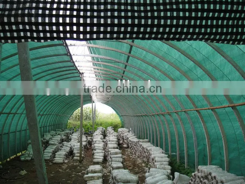 On Sale!!1 2014 high quality plastic oyster mushroom greenhouse film for selling