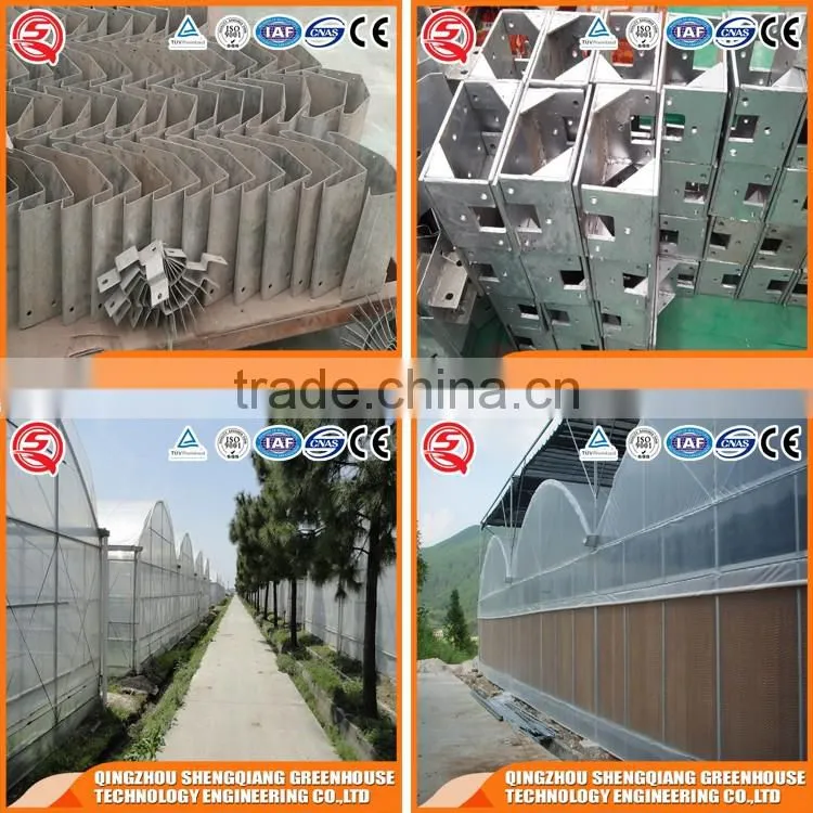 China plastic tunnel greenhouse agriculture steel frame for vegetable