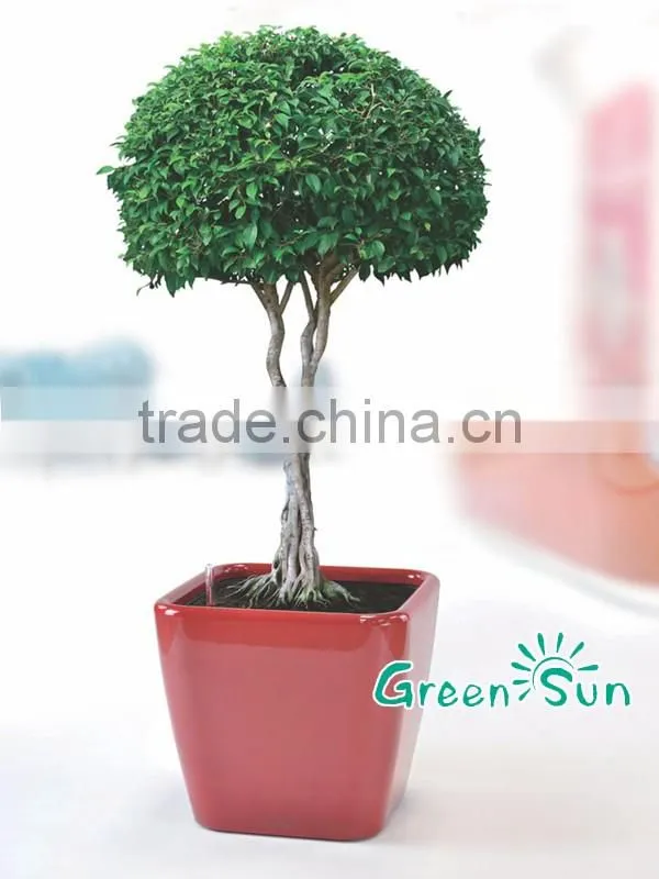 2016 hotsale Round garden PP plastic flower pots