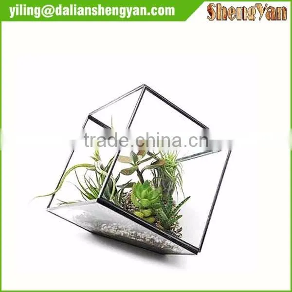 The cube shape planter,geometric glass terrarium