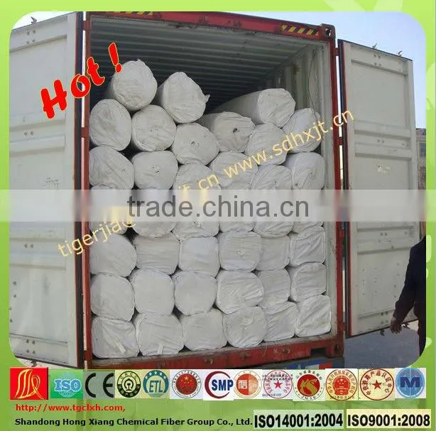 Filament woven geotextile polyester forming fabric mesh fabric