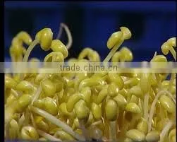 Automatic Bean Sprouting Machine JL260B-Manufacturer/ CE Certificate