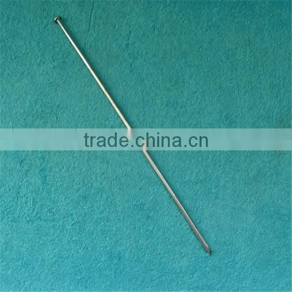 Galvanized spike