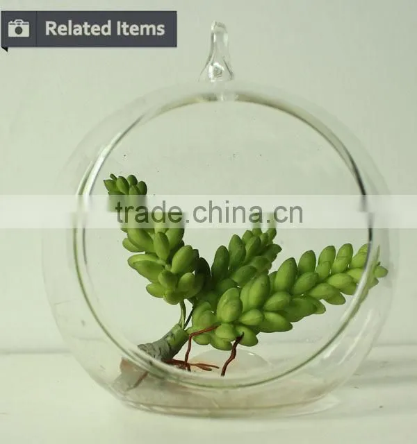 New home decor succulent art craft mini terrarium succulent plant