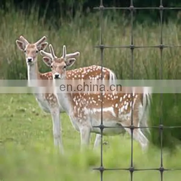 Plastic PP Deer Fence/ Deer Netting