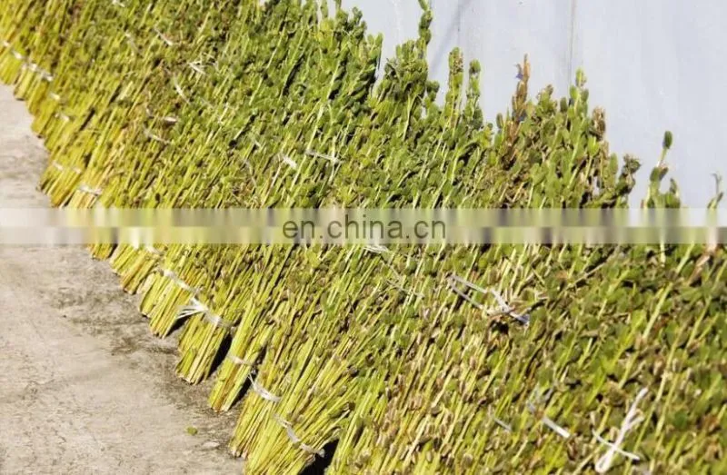 price for Green Onion Parsley Leeks chinese chives Harvester